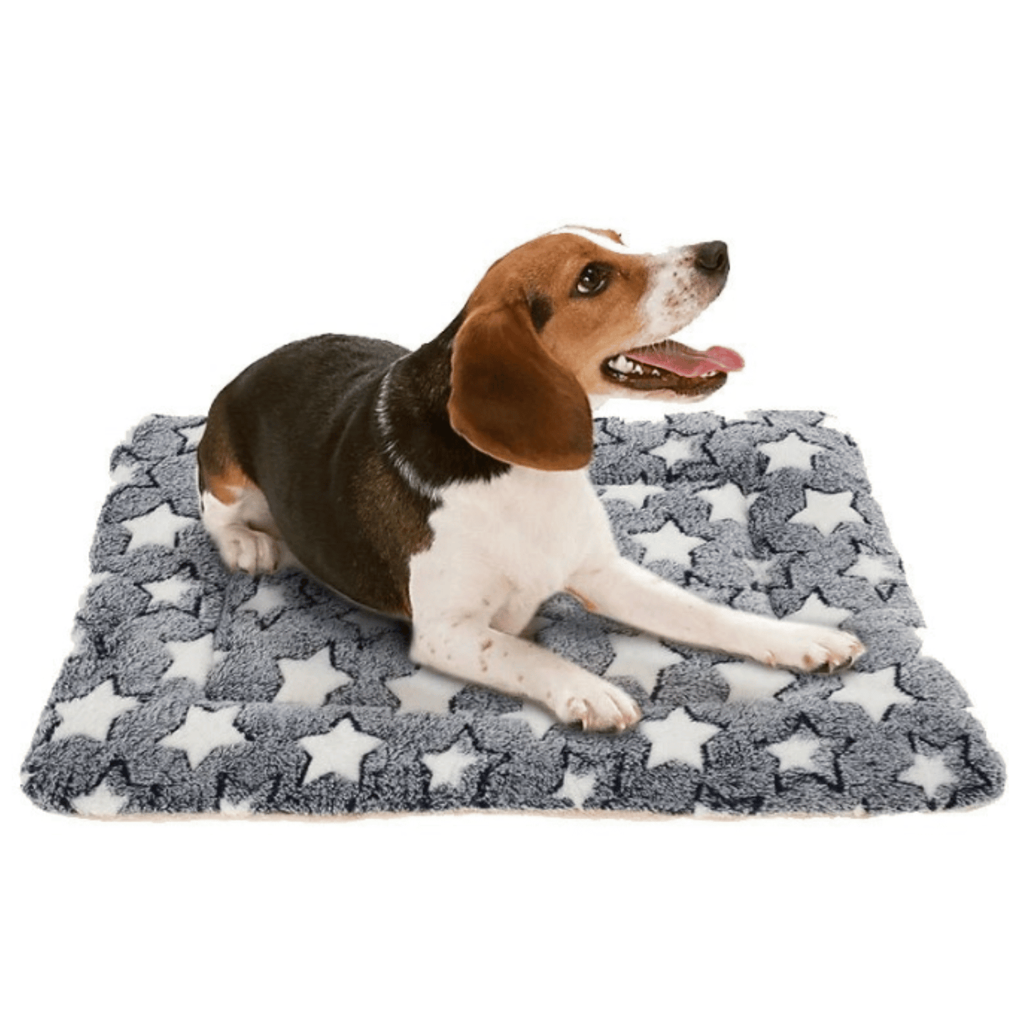 Hondenmand Kattenmand Flanel – Zachte Slaapplek voor Huisdieren