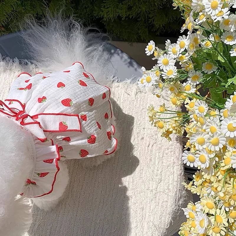 Zomerjurkje met Aardbeienprint voor Honden en Katten