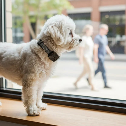 Zwarte Hondentrainingshalsband – Ultrasoon, Waterdicht en Oplaadbaar - Blafband Hond